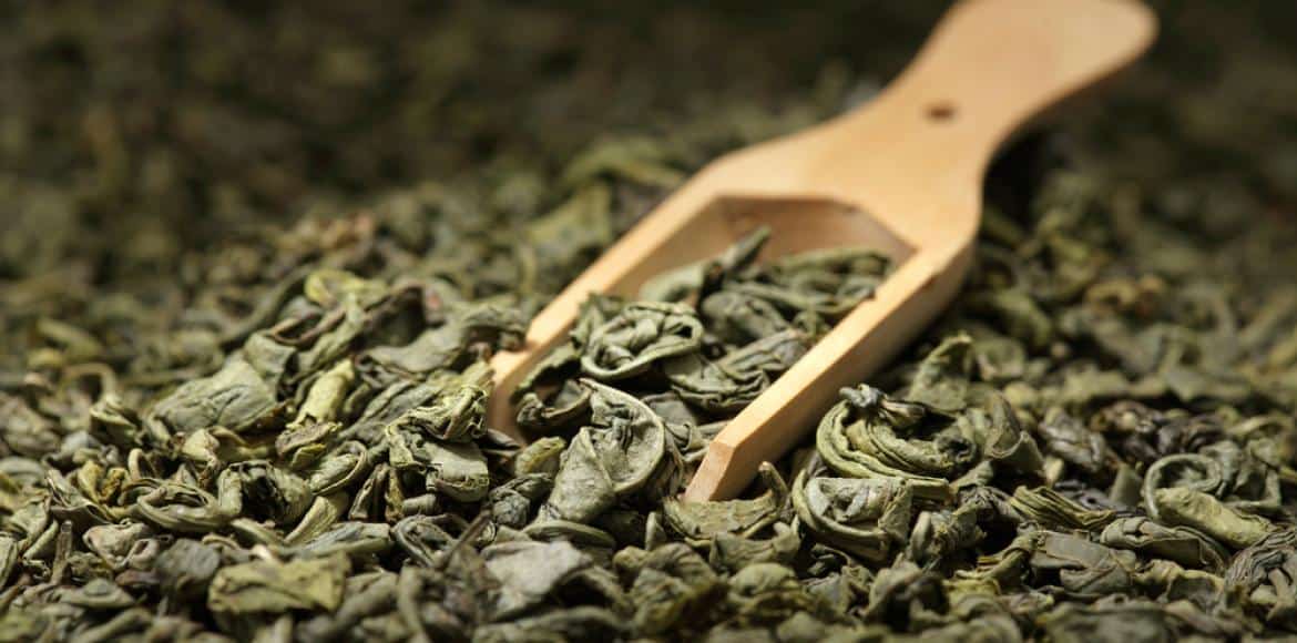 Extrait de thé vert : bruleur de graisse naturel 