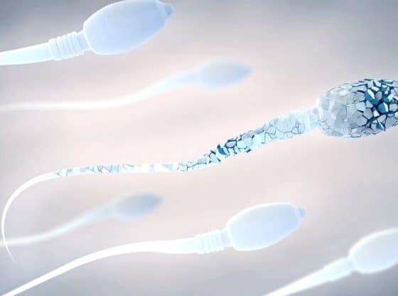 Sperme transparent : causes et incidences